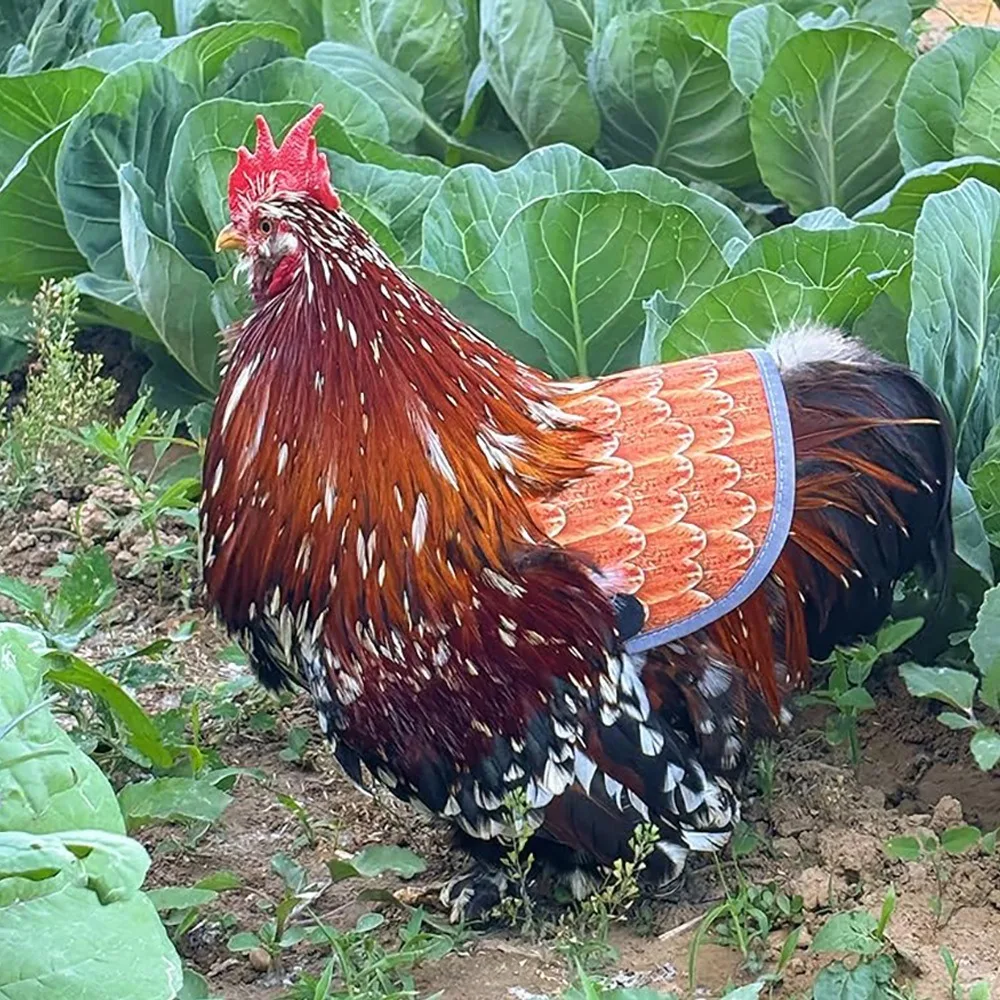 

Adjustable Straps Hen Apron Feather Protection Mating Protection Poultry Back Protector Back Protection Waterproof