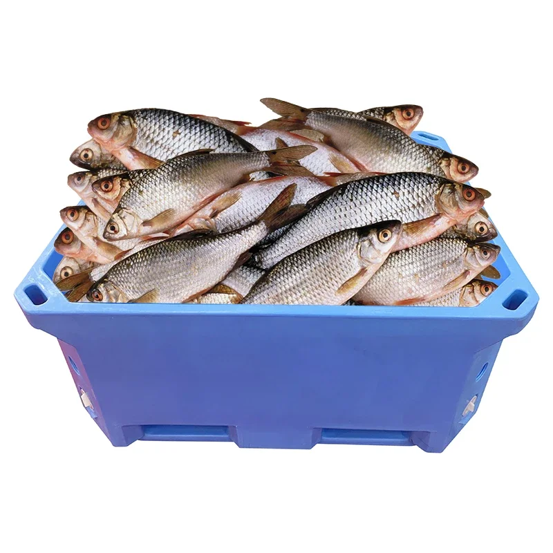 

Factory Direct Sales High Quality Plasticity Large Plastic Pallet Fish Box Containers For Seafood Transportation