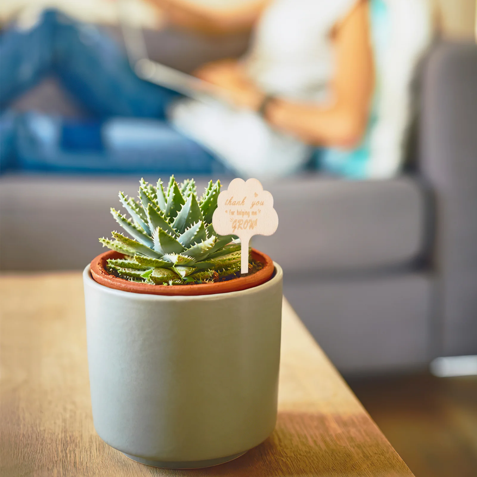 25 قطعة من ملصقات نباتات الخيزران علامات حديقة خشبية علامات قابلة للكتابة للعصارة والأعشاب والزهور شكرًا لك على مساعدةني في نمو المعلم