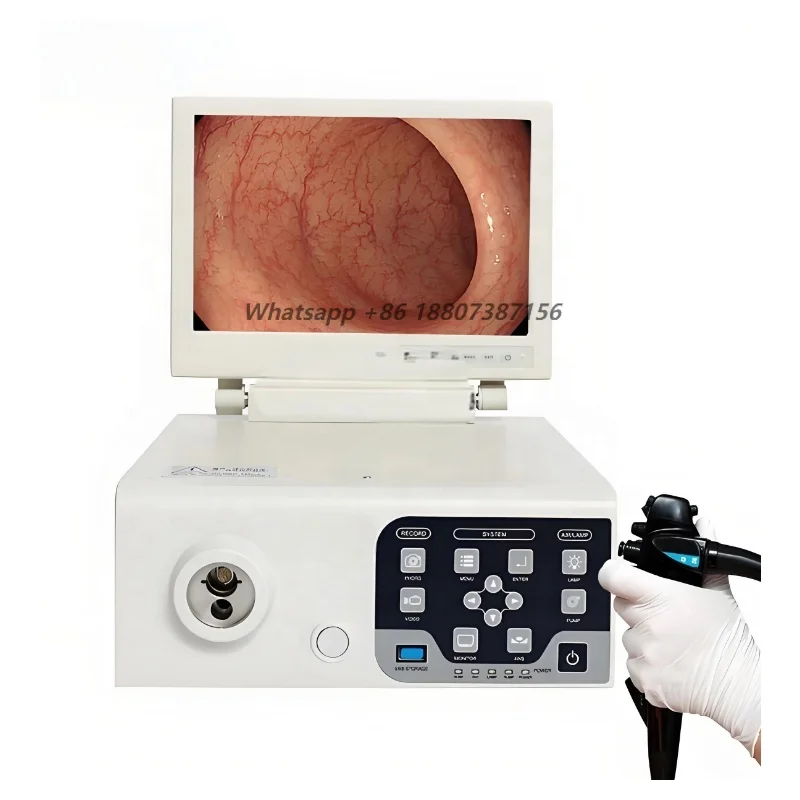 Flexible veterinary gastroscopy for horse and livestock examinations
