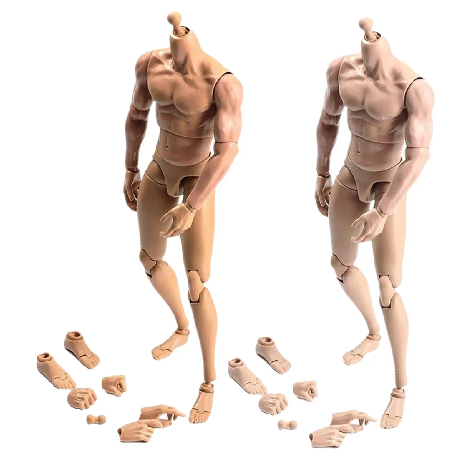 1/6 Realistic Male Body With 28 Movement Joints Muscular Model Seamless Narrow Shoulders with Neck Action Jointed-Figure For DIY