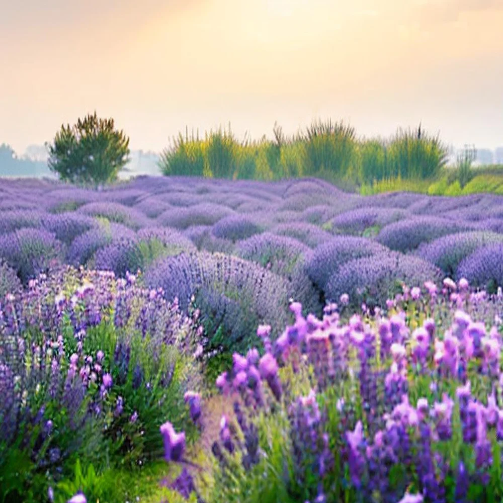 

For Ryobi 40V 10Ah High Capacity OP4040 OP4026 OP40501 OP40401 OP4030 OP4050 OP4060A OP40201 for Ryobi 36v Li-ion batterie