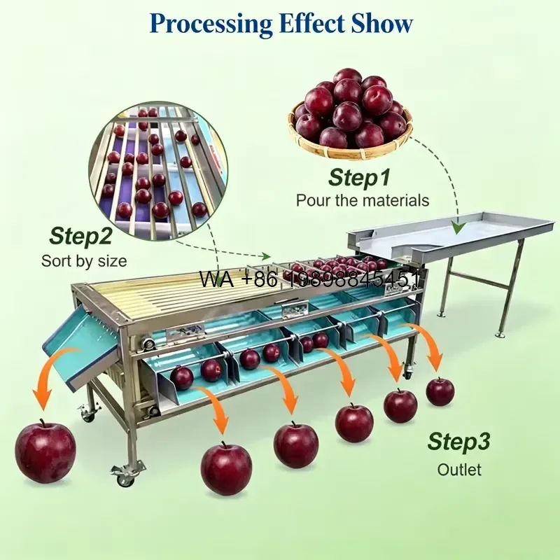 Wmwmnu for Fruit Vegetable Sorting Grading Potato Strawberry Tomato Mango Melon Size Sorting Fruit