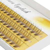 Natural 10D mink Eyelash Extensions 1 Box/60 Bundles Natural 3D Russia Individual cluster Eyelash Makeup Tools wholesale Cilia