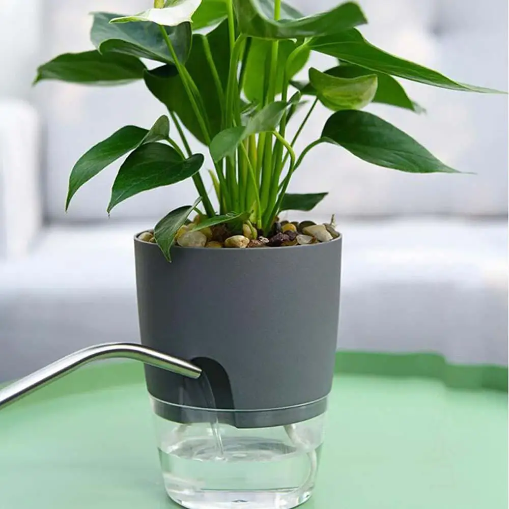 Indoor Table Purifying air Garden Supplies Green Dill Office Succulents Auto Irrigate Flower Pots Home Decor Plant Pot Planters