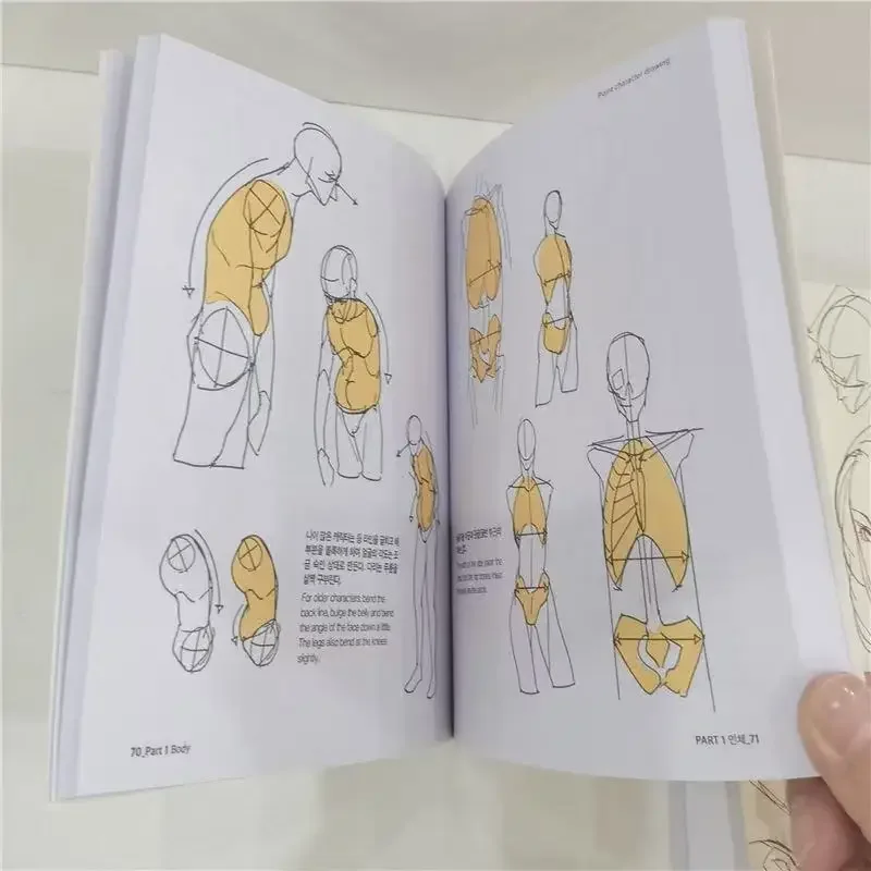 كتاب رسم سري لشخصية الرسام الكوري، كتاب فني، هيكل جسم الإنسان، كتب تقنية مرسومة يدويًا