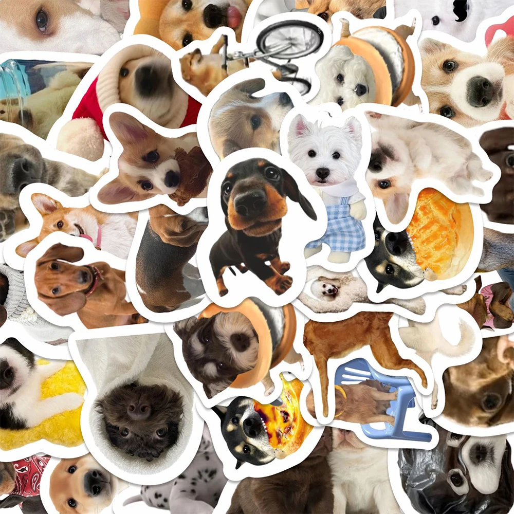 10/30/64 Stück Lustige Hunde-MEME-Aufkleber Niedliche Welpen-Graffiti-Sticker DIY Scrapbook Laptop Koffer Dekoration Aufkleber Klassisches Spielzeug