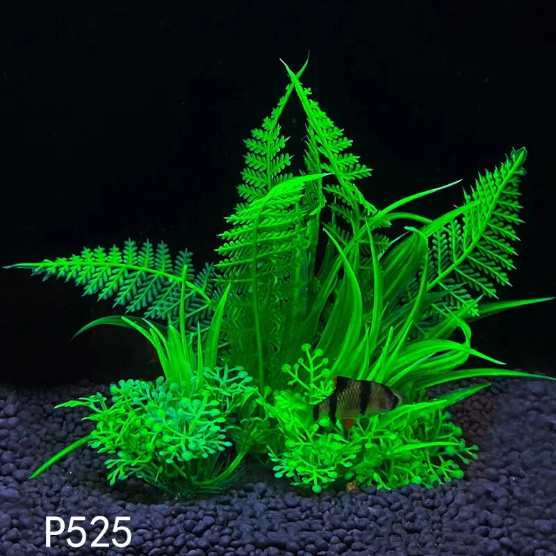 14 centimetri/5.5 pollici Acqu - Planted Aquarium Bowl recensione e prezzo