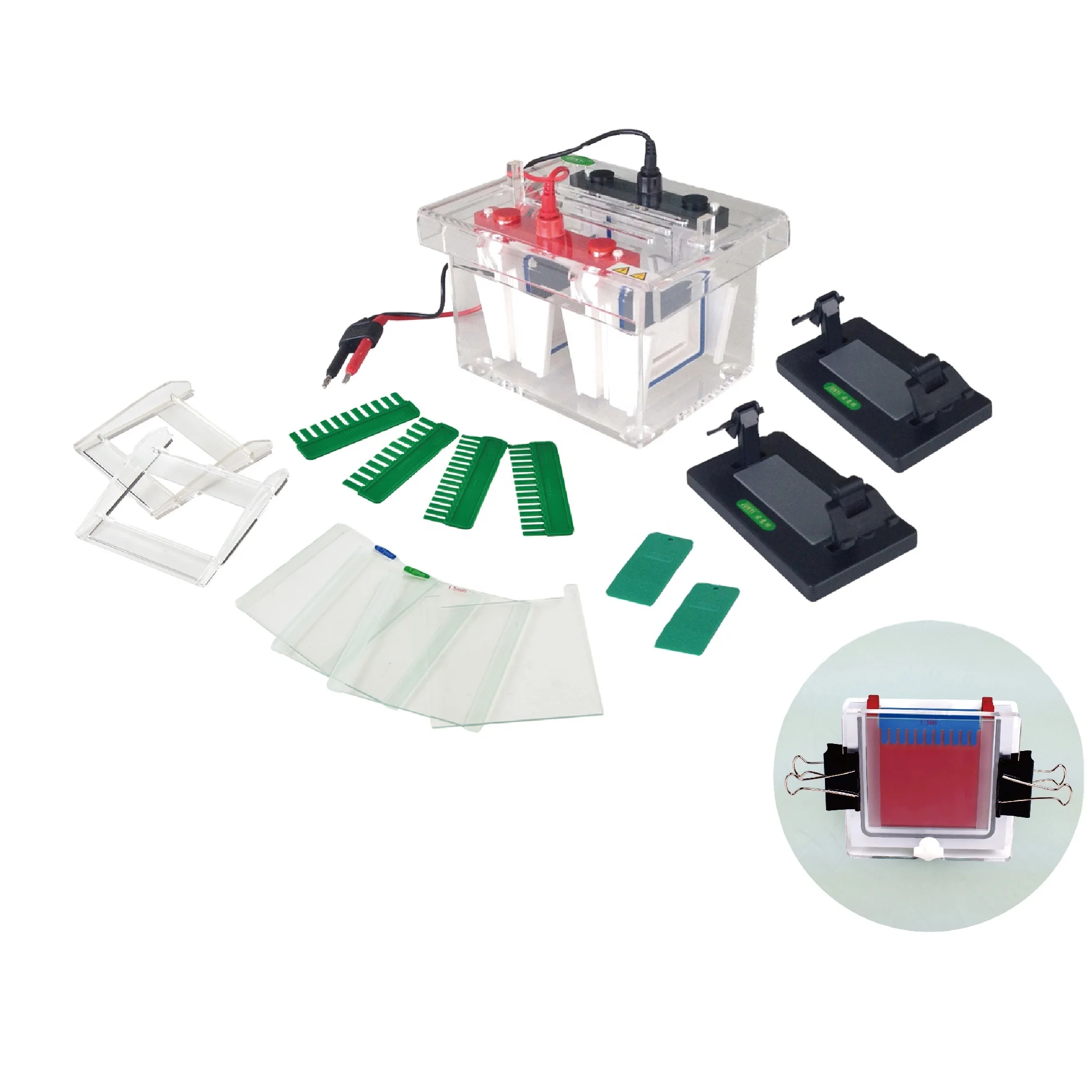 Biochemical Laboratory  Diseased Cells Blood Cells Cellulose Acetate Membrane Horizontal Electrophoresis Tank