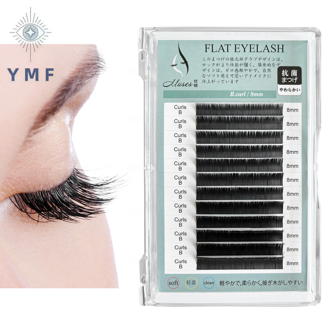 Estensione ciglia a forma di W 3D 4D 5D Premade Volume Fans W Shape Lashes Natural Soft Faux Fiber False Lashes Makeup