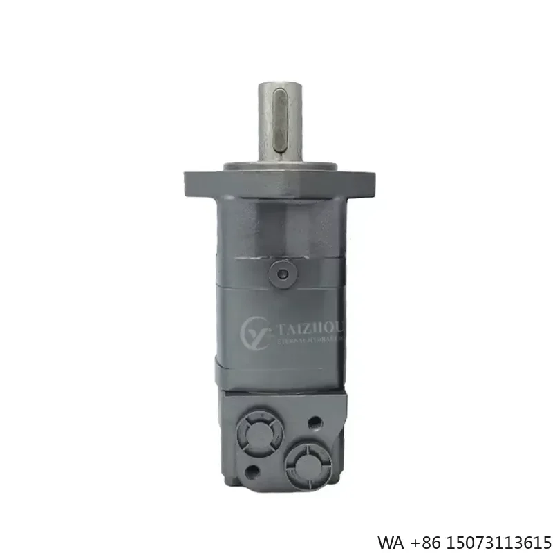 Small Durable High Efficiency Hydraulic Orbital Motor for OMS 315 OMS 400 OMM 40 Corn