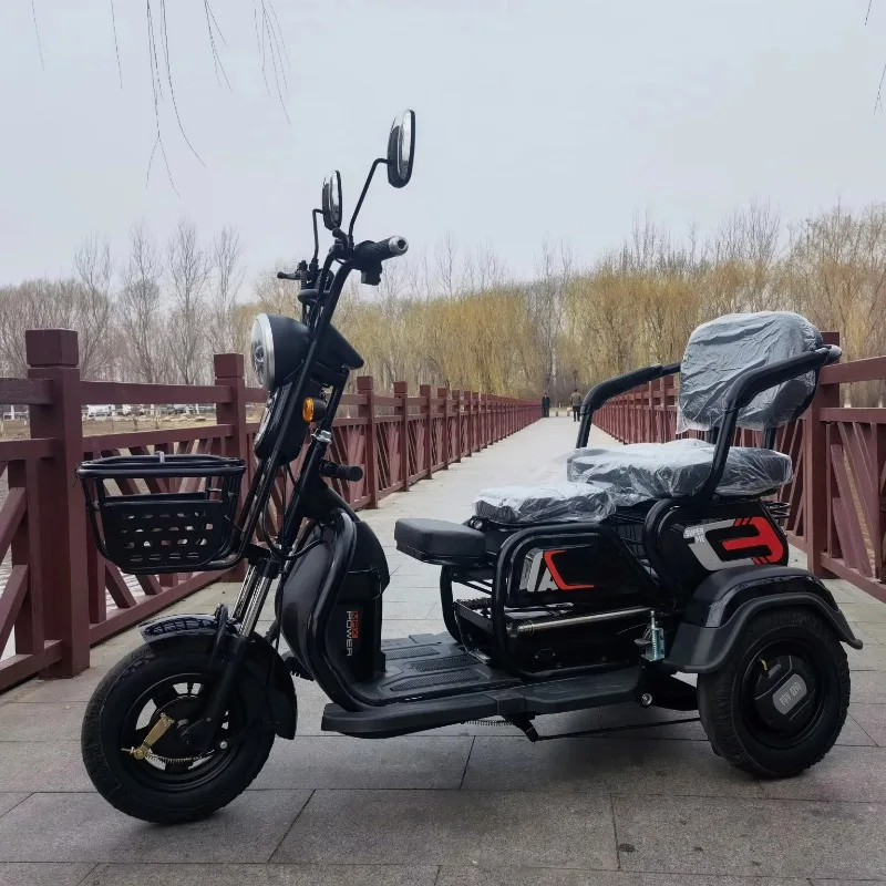 Passenger Electric Tricycle Cargo Bike 3 Wheels Three Wheel Motorcycle Tuk Electric Trike for Adult