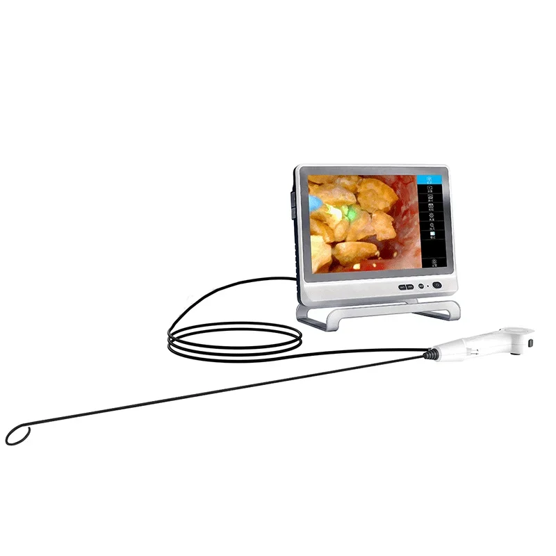 Sistema de ureteroscopia flexível digital descartável do cistoscópio com tela sensível ao toque