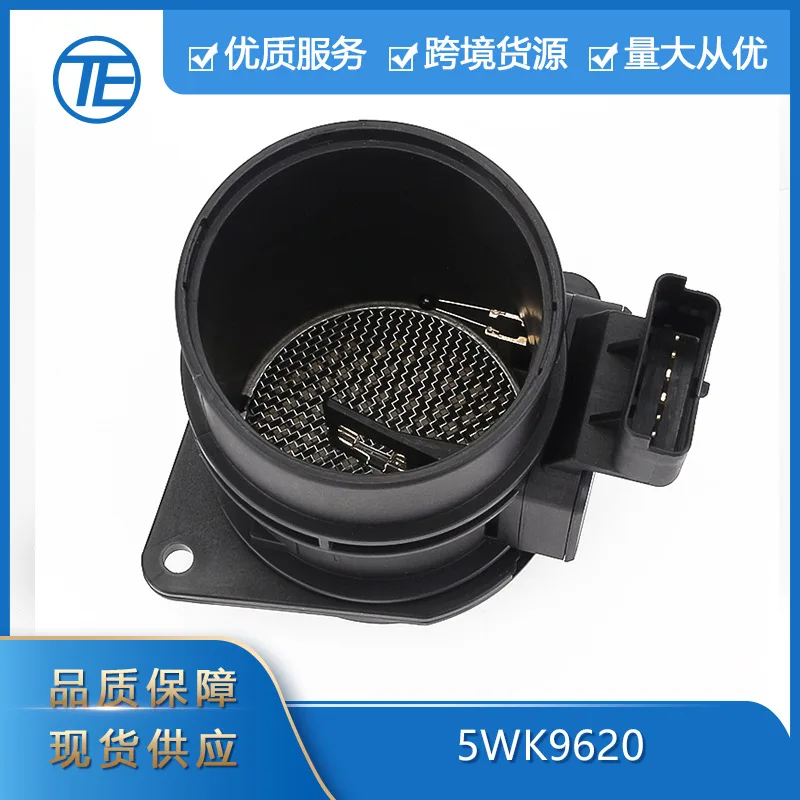 Suitable for Peugeot Citroen Opel Nissan auto Parts 5WK9620 air flow meter sensor