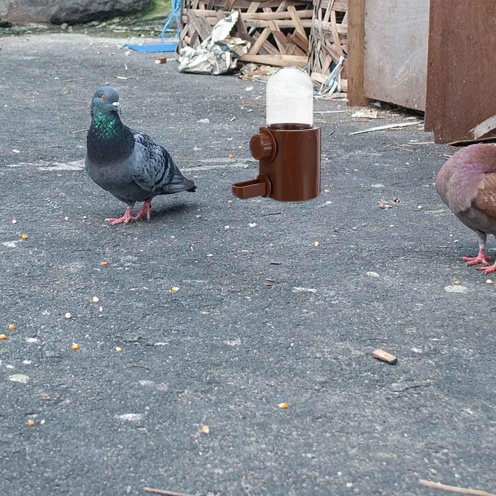 

Bird Cage Automatic Water Dispenser 250Ml Leakproof Silent Design for Parrots Parakeets Budgies Cockatiels Small Bird Water