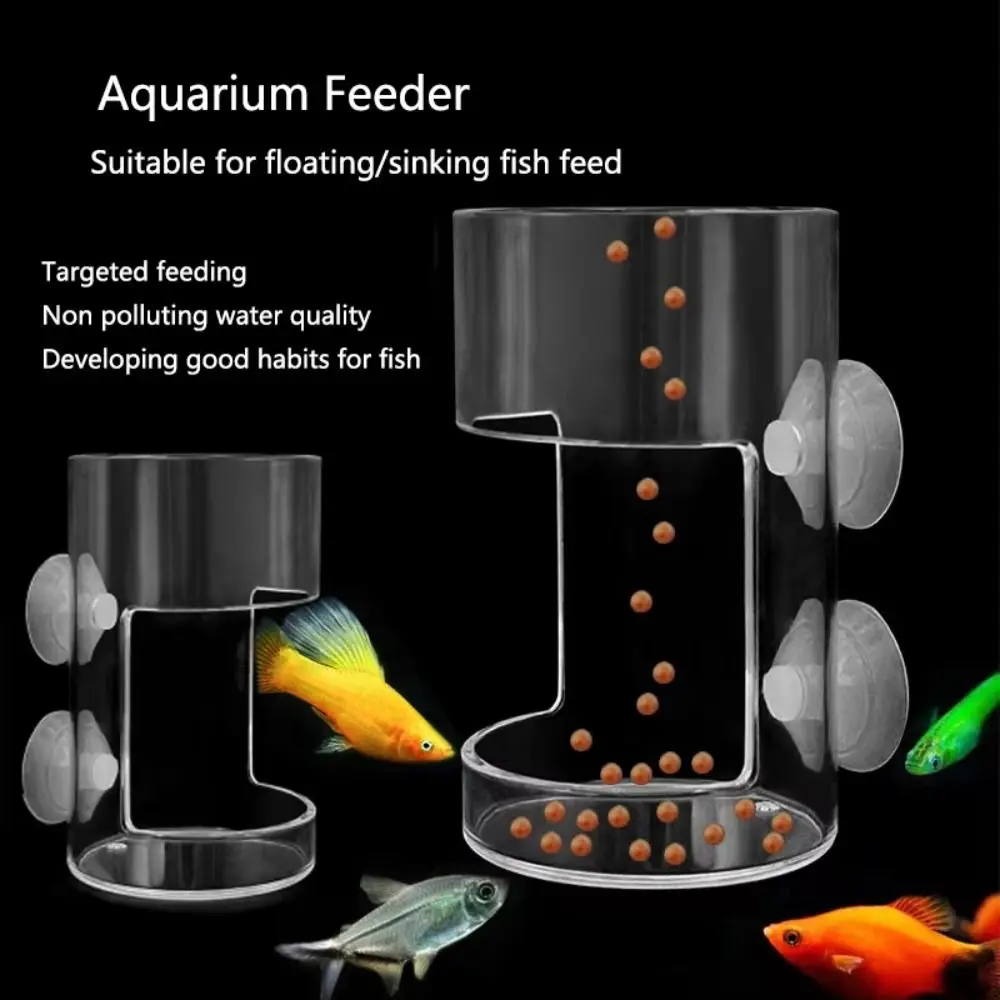 Mangeoires d'aquarium en acrylique, anneau Transparent, plateau d'alimentation pour poissons à Point fixe, ventouse Durable, plateau alimentaire flottant