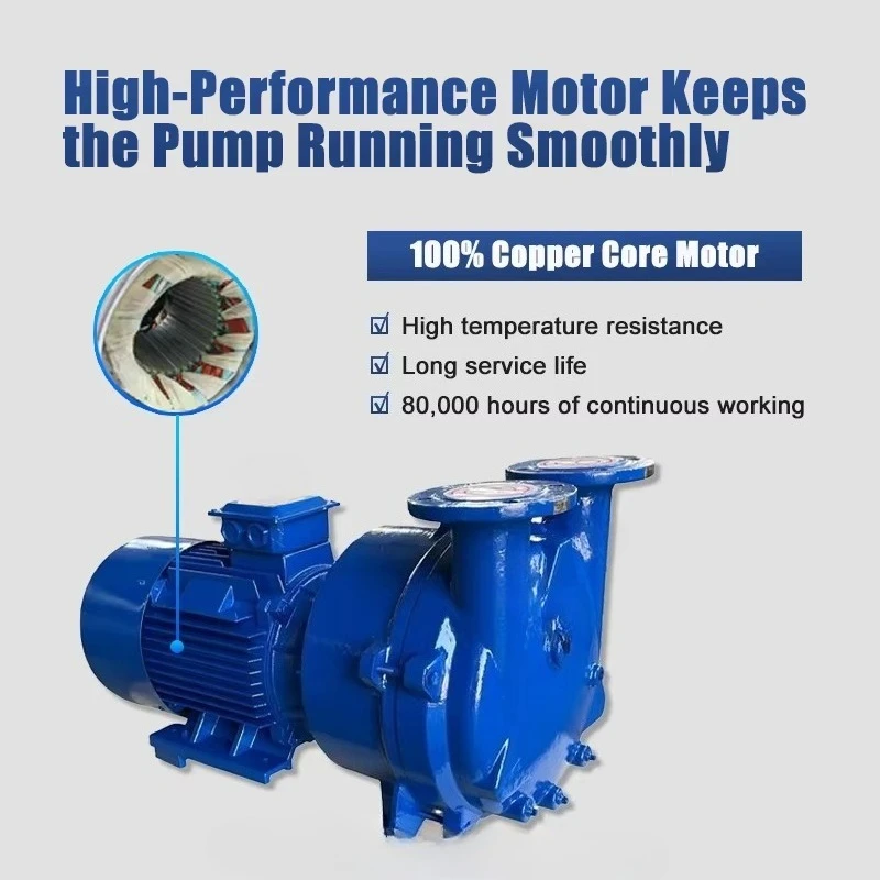 Supplier High Efficiency Stainless Steel Multistage Low Pressure Electric Water Ring Vacuum Pump for Automotive Industry