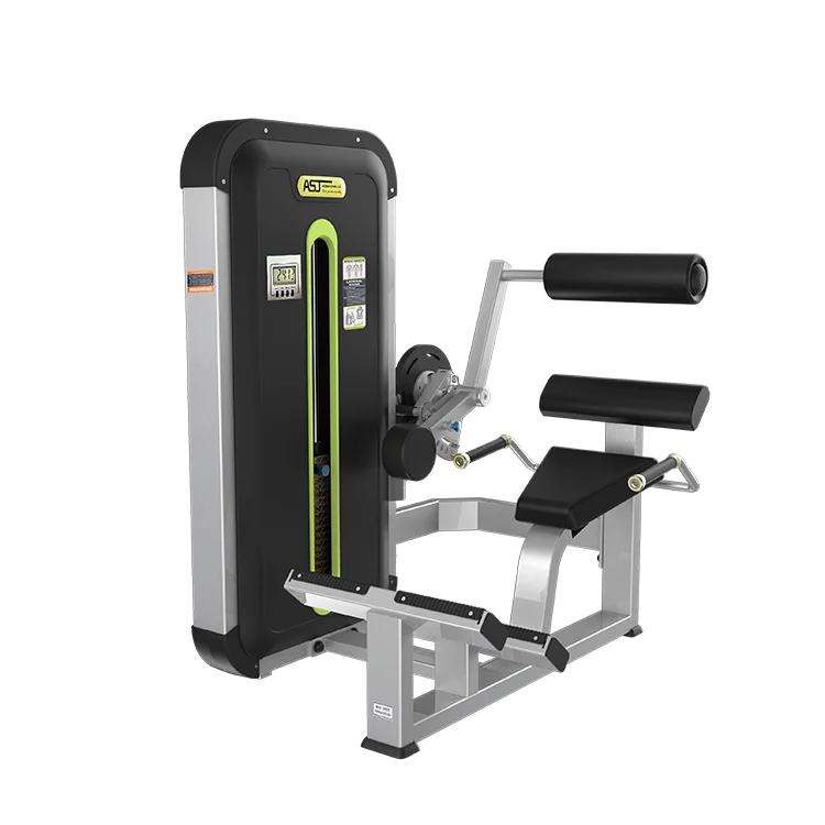 الصين مصنع معدات الصالة الرياضية ASJ-ZM007 المهنية معدات اللياقة البدنية دبوس تحميل تدريب القوة تمديد الظهر