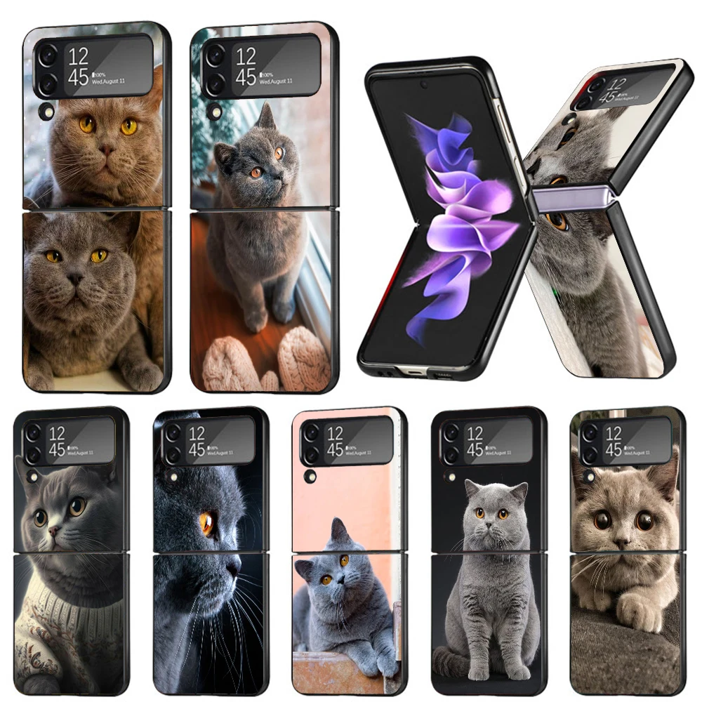 British Shorthair Cat Phone Case For Samsung Galaxy Z Flip6 5G Flip5 Flip4 Flip3 ZFlip 6 3 4 5 Hard PC shockproof Back Cover