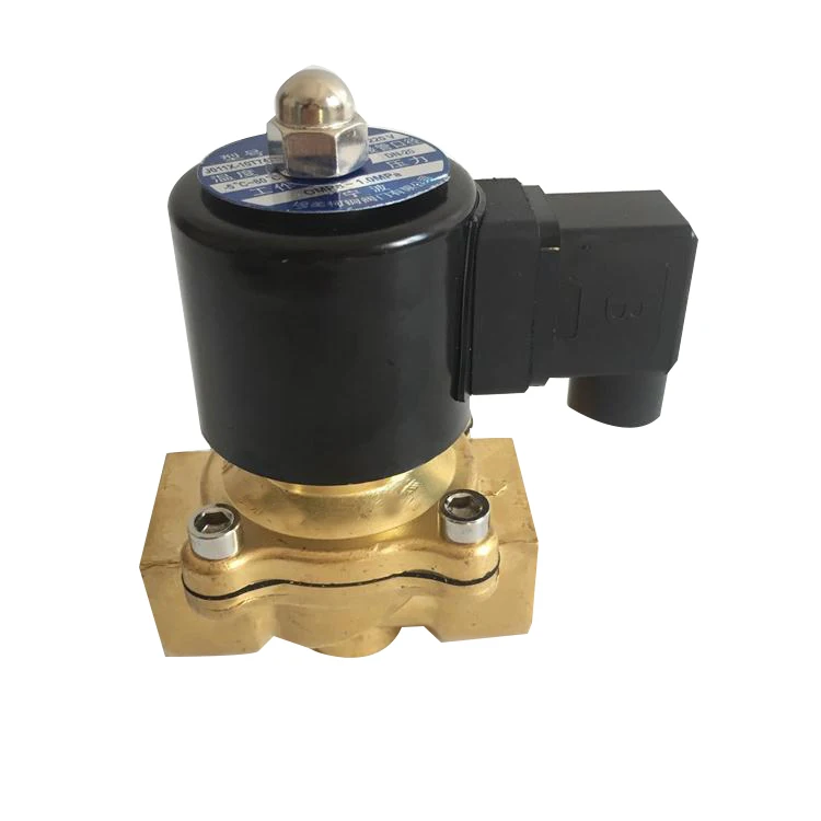 Brass wire port valve normally closed DN20 solenoid valve AC220V