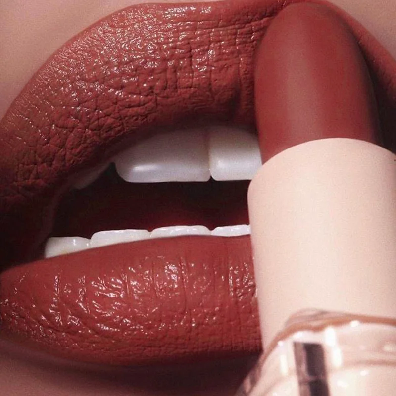 Matte Lipstick Waterproof Velvet Lip Stick Long Lasting Brown Burgundy Tint Nude Sexy Lipstick Women Makeup Cosmetics