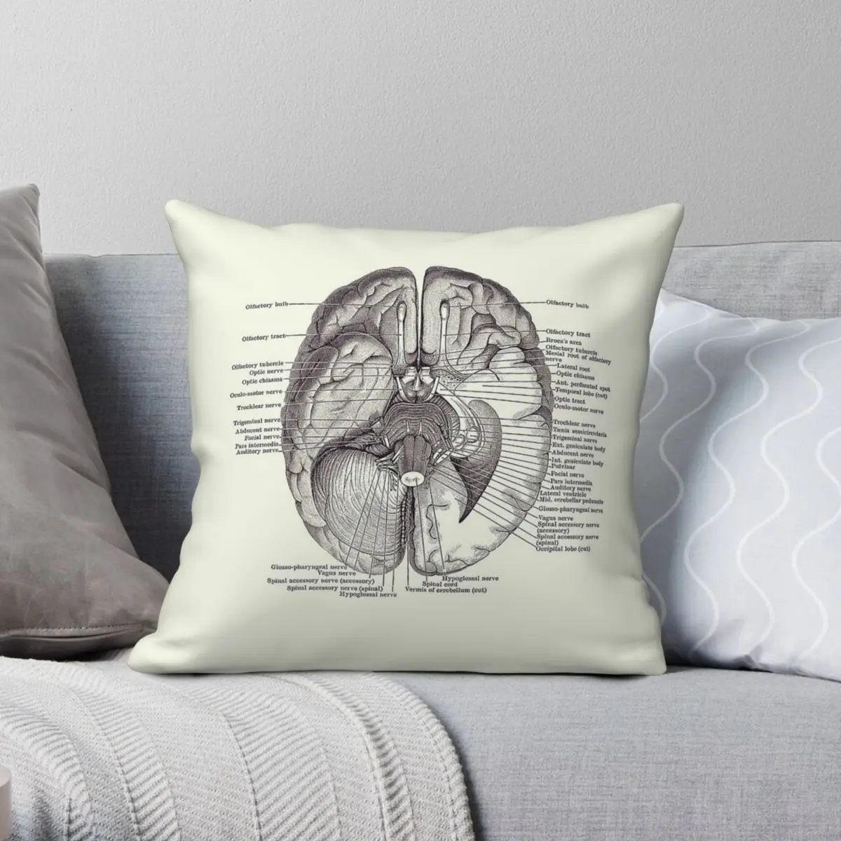 Brain Nervous System Diagram Anatomy Pillowcase Polyester Linen Velvet Pattern Zip Decor Pillow Case Bed Cushion Case