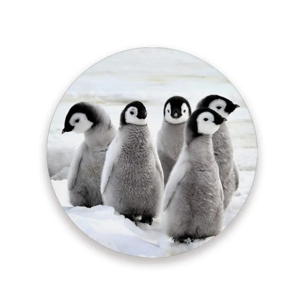

Круглые керамические подставки Penguins с пробковой основой для деревянного стола, впитывающие подставки для напитков, набор из 1, подарок на новоселье