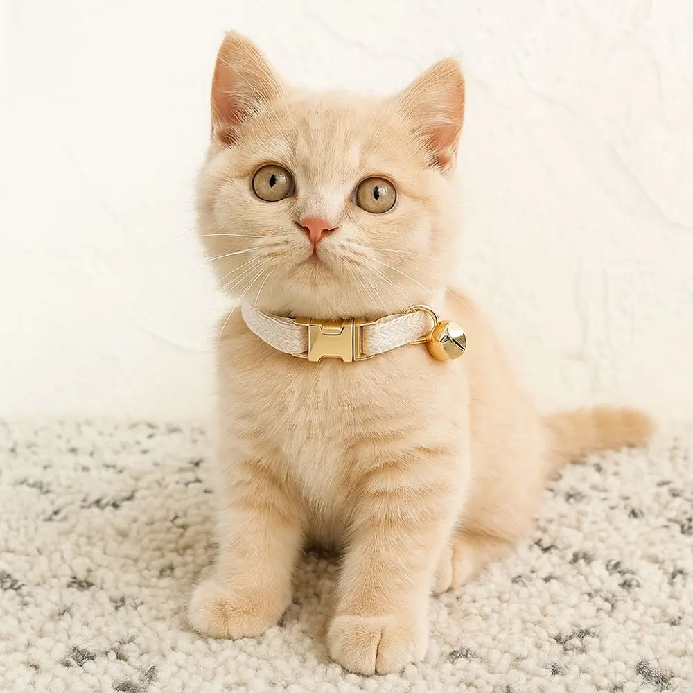 

Pet Accessory Adjustable Cat Collar with Bell Metal Buckle Personalized Cat Necklace Solid Color Pet Dog Collar Outdoor