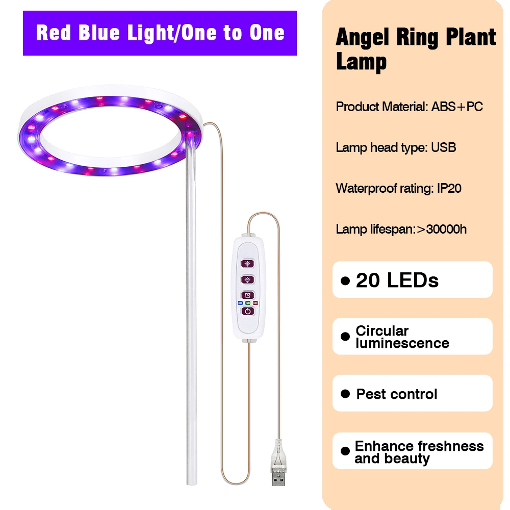 Blue Red Light 1