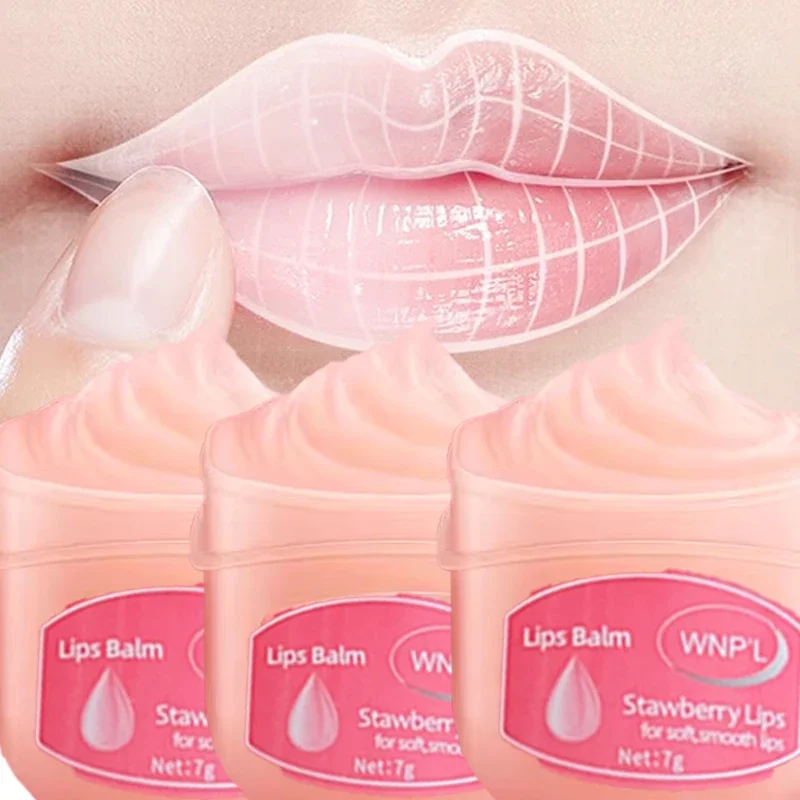 

4-6 Pcs Lip Balm Beeswax Lip Moisturizer Natural Origin Conditioning Lips Treatmen All-Day Moisture Lip Care Products