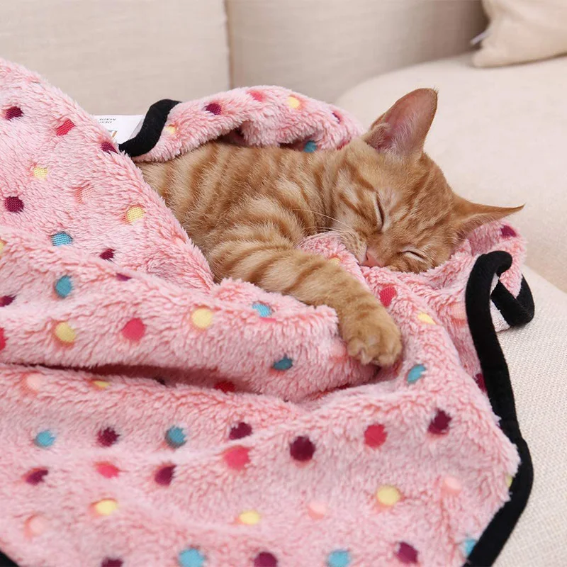 Thumbnail 4 - #56 Compare Blankets Before You Buy