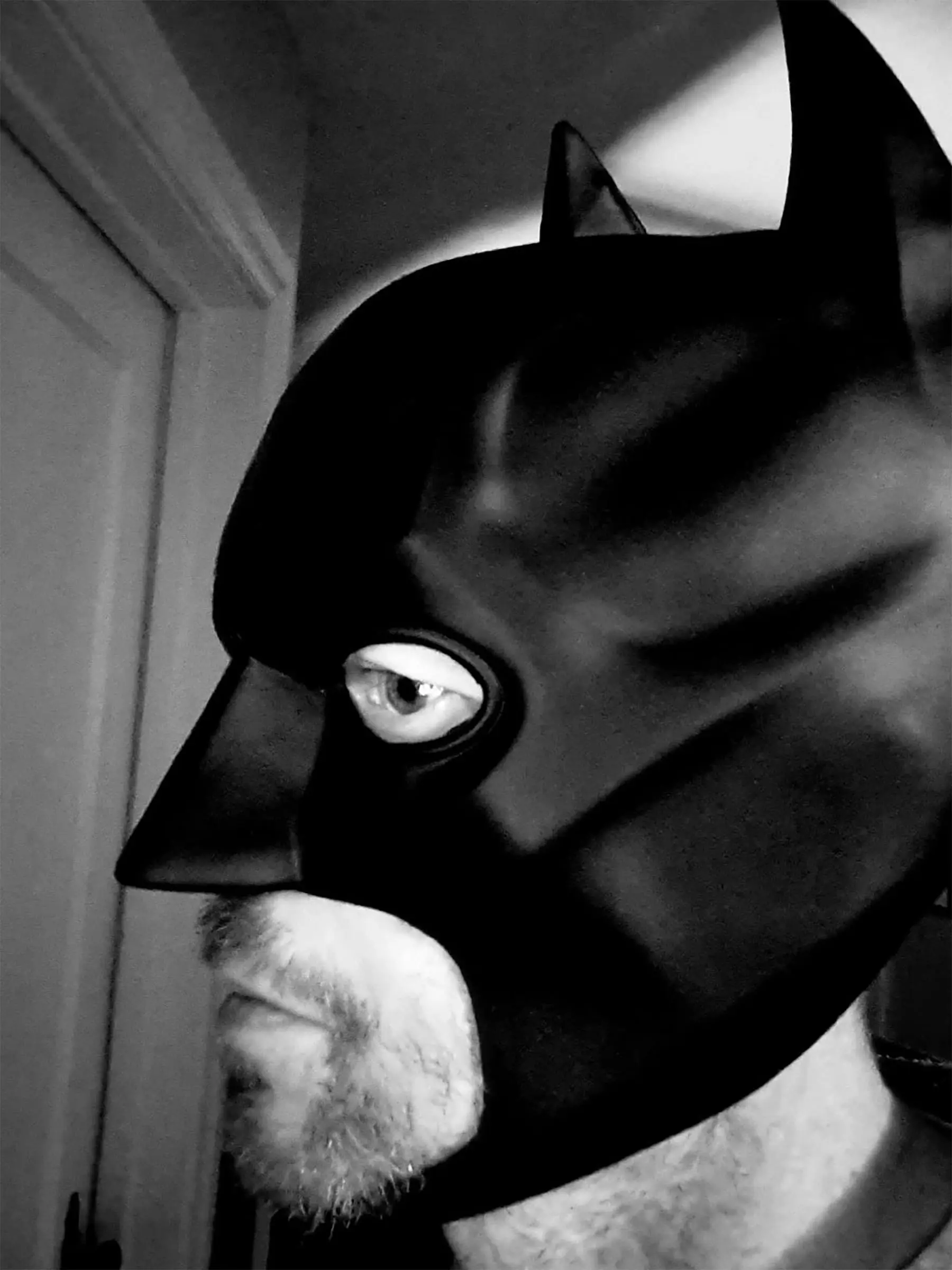 성인용 배트 마스크 남성용 슈퍼히어로 브루스 웨인 풀 PVC 마스크 나이트 코스프레 의상 소품 할로윈 파티용 다크