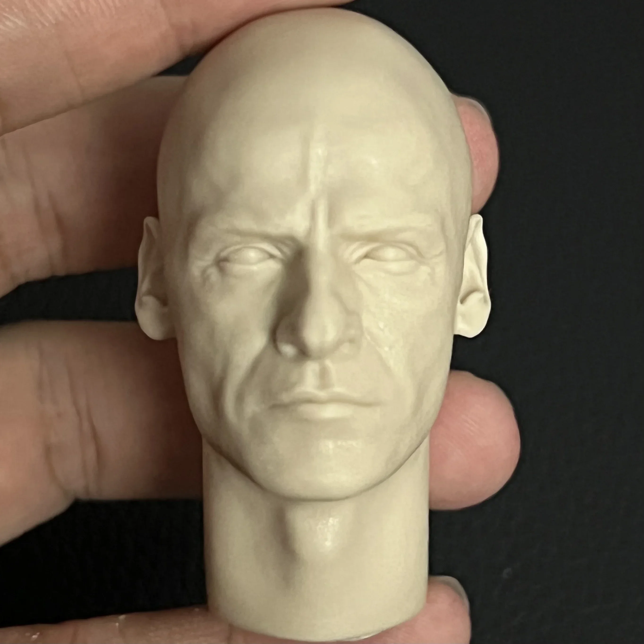 

1/6 Die-Cast Resin Statue Head Fine and Detailed Unpainted Free Shipping (Isaac Mark )