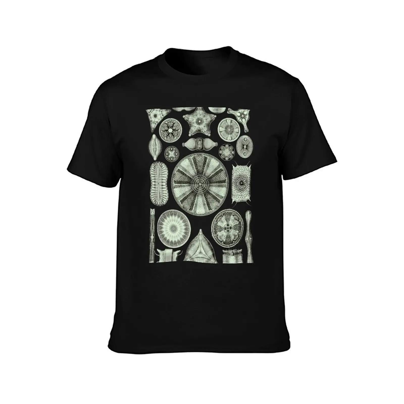 Ernst Haeckel Diatoms Olive Green T-Shirt Casual Light Summer Short Sleeve Top T-Shirt
