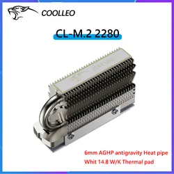 COOLLEO HR-09 M.2 2280 M.2 SSD Cooler Radiator Solid State Drive Heat Sink Fully Electroplated Reflow Welding AGHP HeatPipe