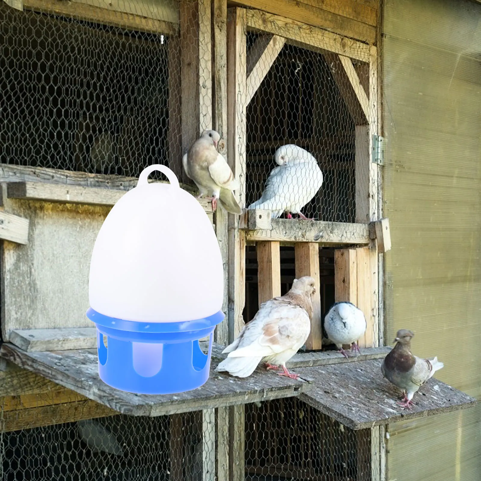 

Pigeon Water Feeder 10L White Blue Large H Portable Pet Waterer Dove Container Bird Feeder Easy Clean Sturdy