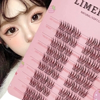 60pcs Natural Soft Cat Eye Individual Eyelash Extensions - Reusable, Beginner-Friendly,10-15mm, 0.07mm
