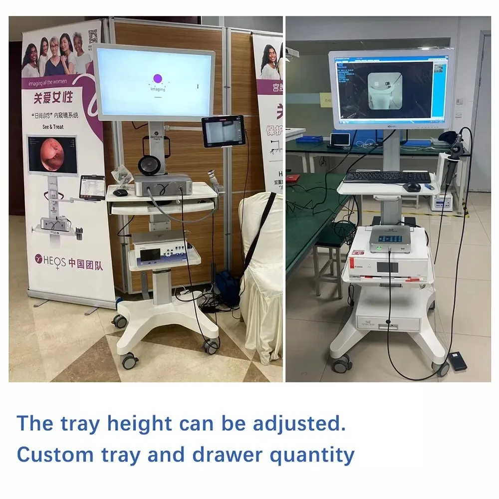 

Endoscope Trolley Medical Mobile Workstation for Hospital Modern Style