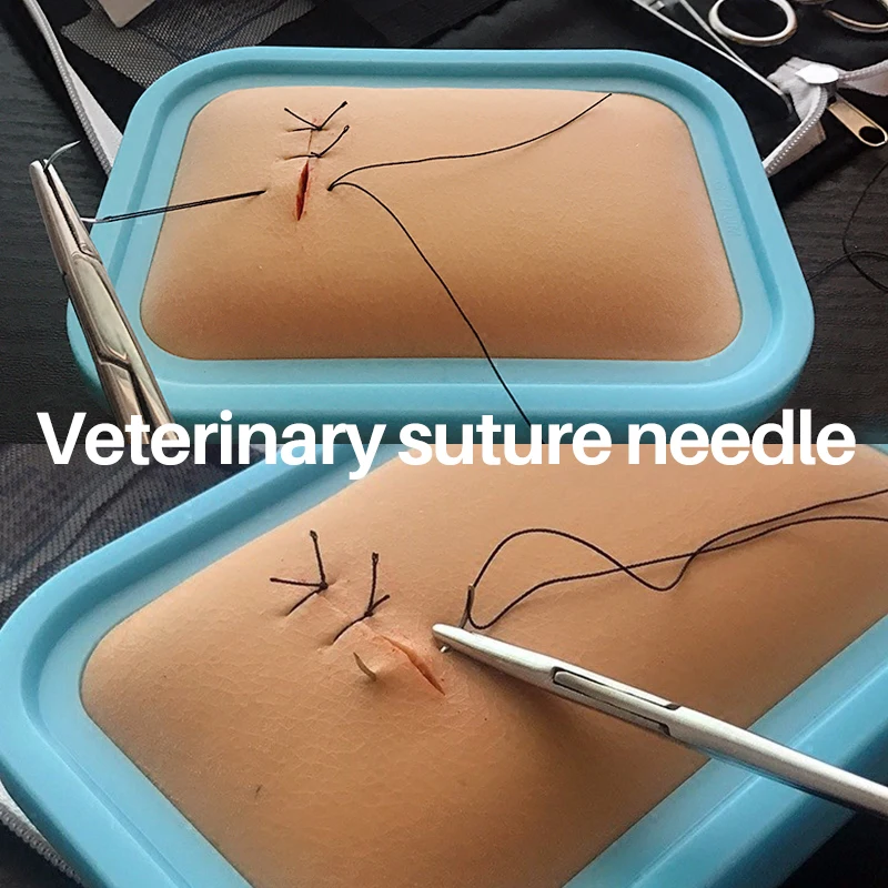 10 Pcs Suture Needles for Veterinary Surgery Stainless Steel Surgical Sutures Curved Needles Pigs Sheep Poultry Livestock Tools