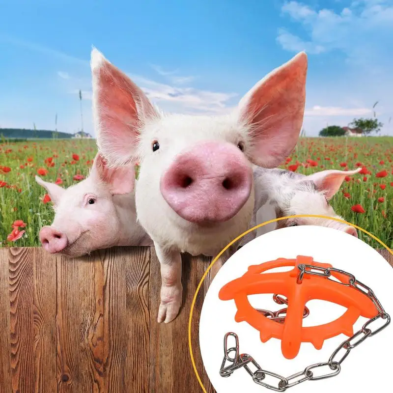 

Domestic Animal Bite Toy Livestock Weaning Toys Entertainment Equipment With Chain For Home Farm Consume Excess Energy