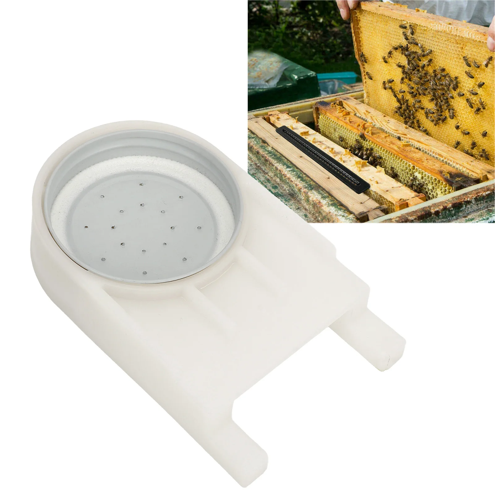 

5Pcs Bee Feeder Beehive Entrance Drinking Feeder Plastic Bees Drinking Equipment Practical Beekeeping Tools