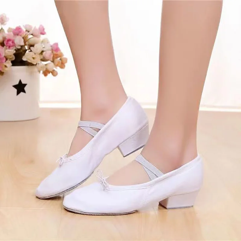 Ballet Dance Shoes Women Teacher Stage Training Shoes Soft Sole Slippers Yoga Practice Shoes Girl's Jazz Dancing Performa Shoes