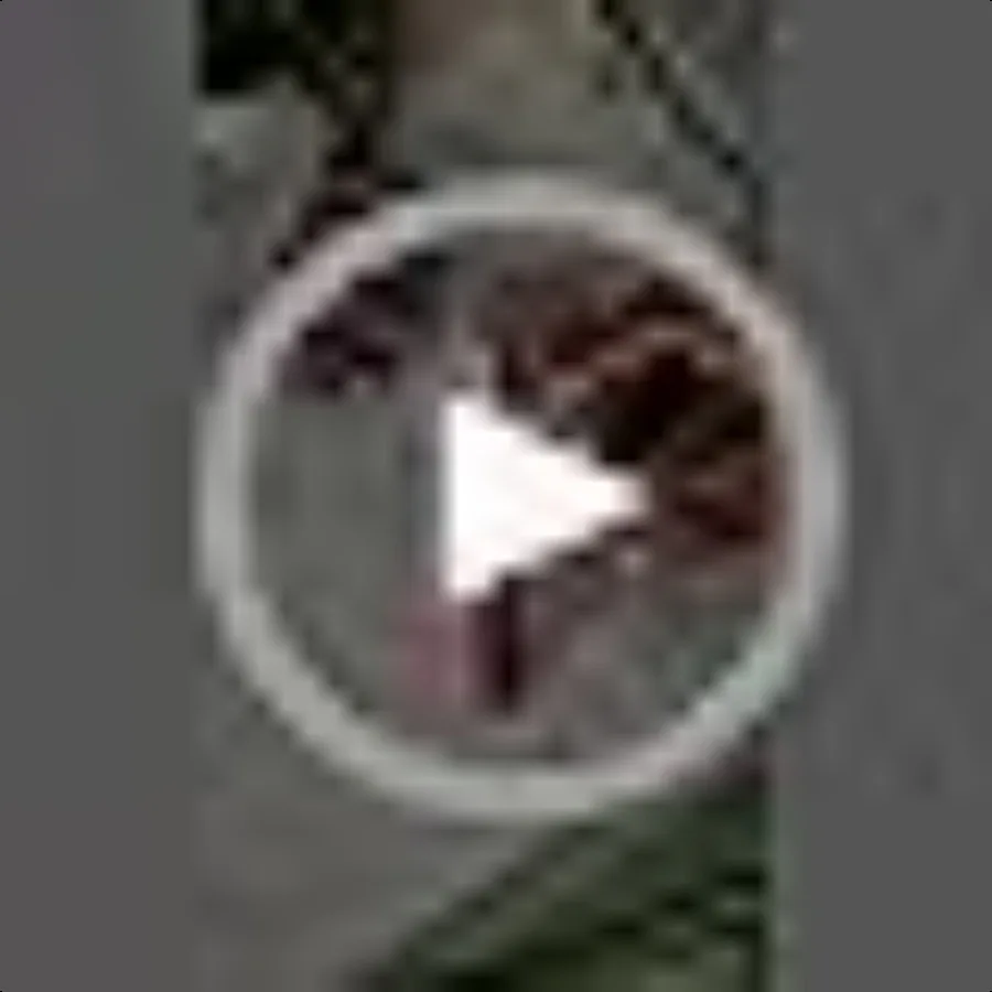 Schick Quattro Razor Value Pack para mujer, 1 mango y 5 recambios