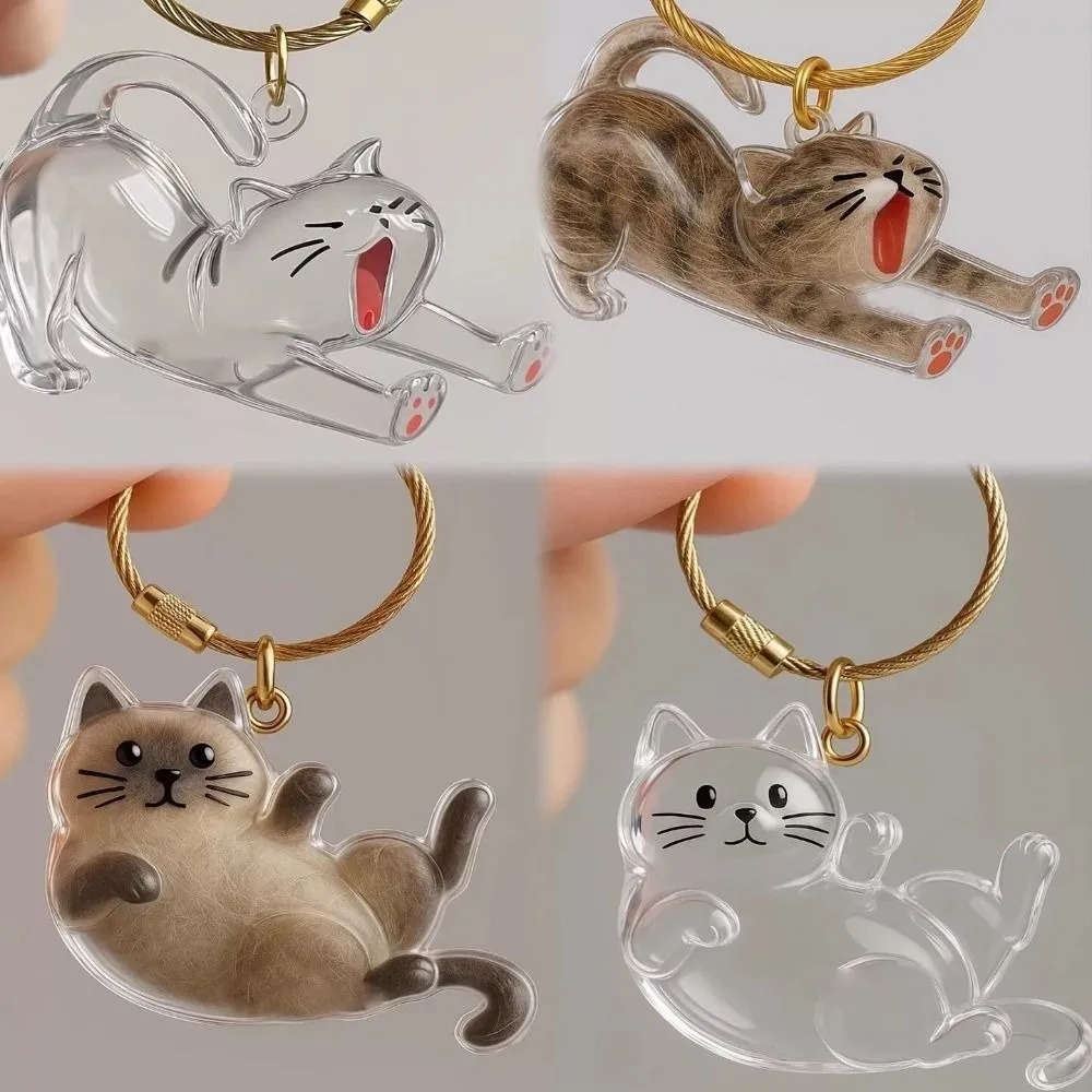 New Transparent Cat Hair Storage Keychain Cute DIY Pet Fur Keepsake Capsule Portable Souvenirs Keychain Pet Lovers image 2