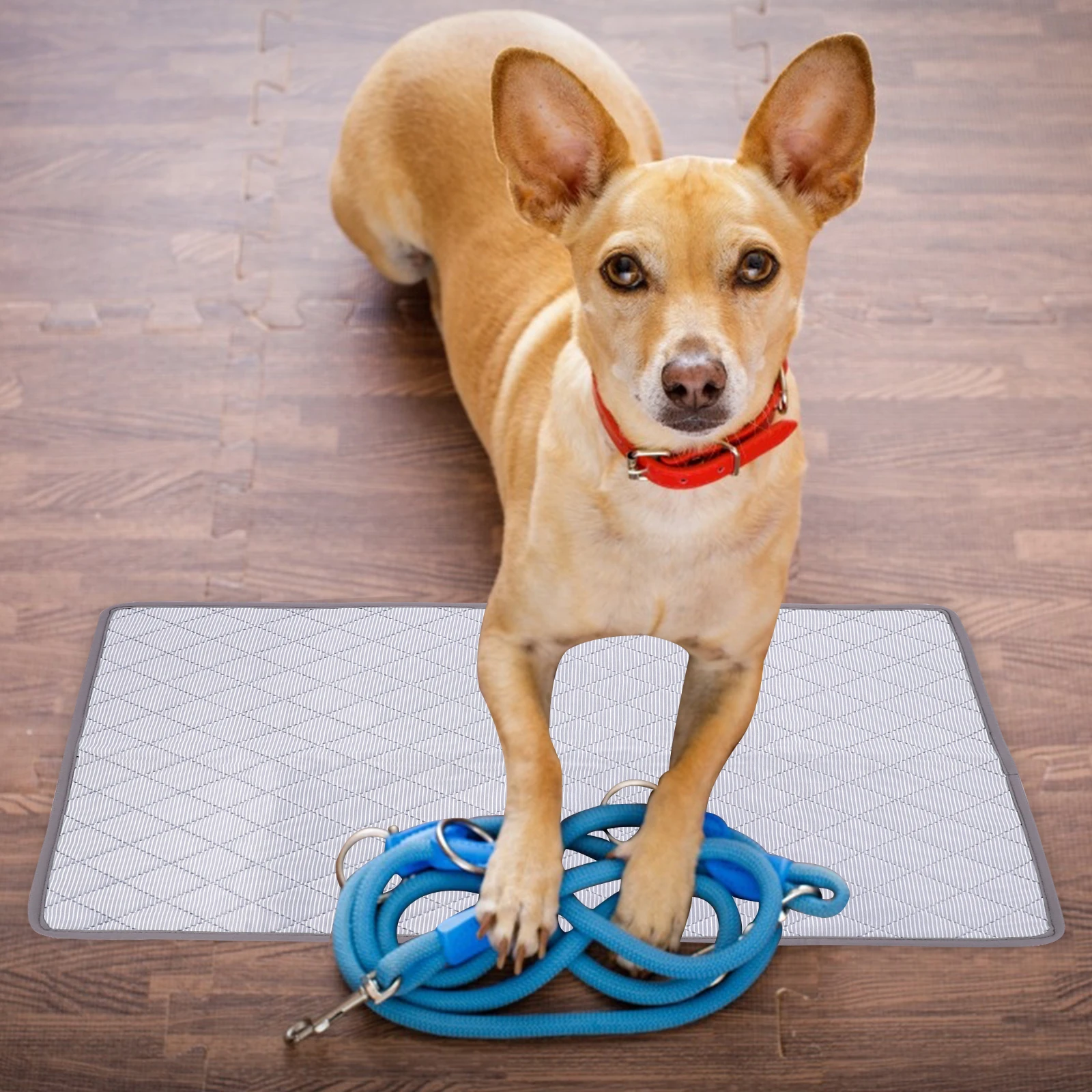 

Absorbent Pet Pad Water Proof Dog Training Pee Pads Washable Reusable Cotton Polyester High Capacity Puppy Cleaning Supplies Pet