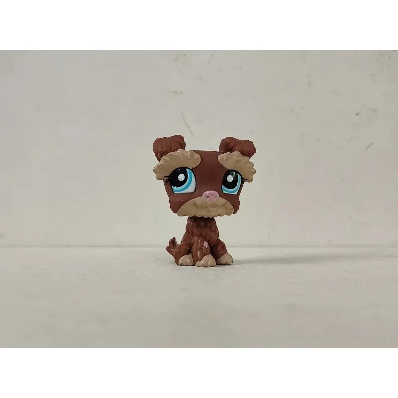 Lps Action Figure L…