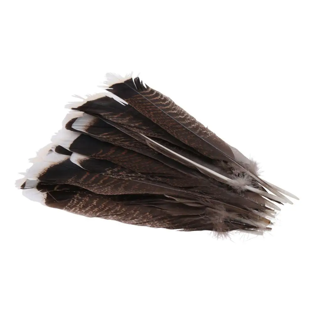 Clothing Decoration Natural Wild Turkey Tails Feathers 8-10inch Feathers Natural Quill Feathers Black DIY Crafts