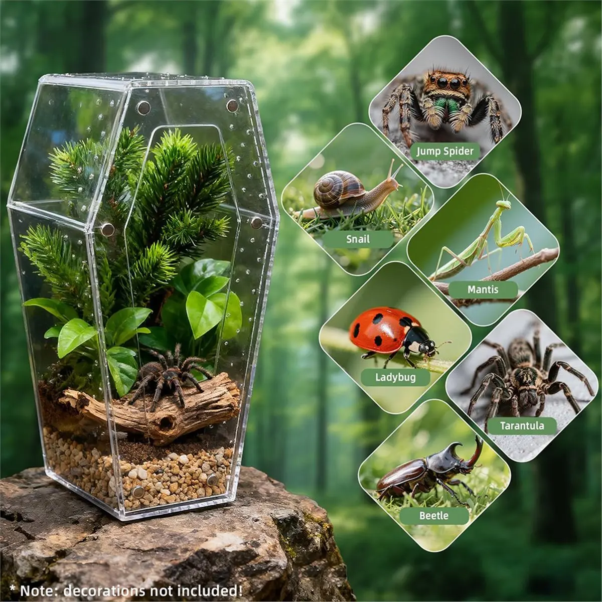 《TOP RATED》Reptile Terrarium Tank - Transparent Acrylic Spider Cage with Ventilation for Pet Insects
