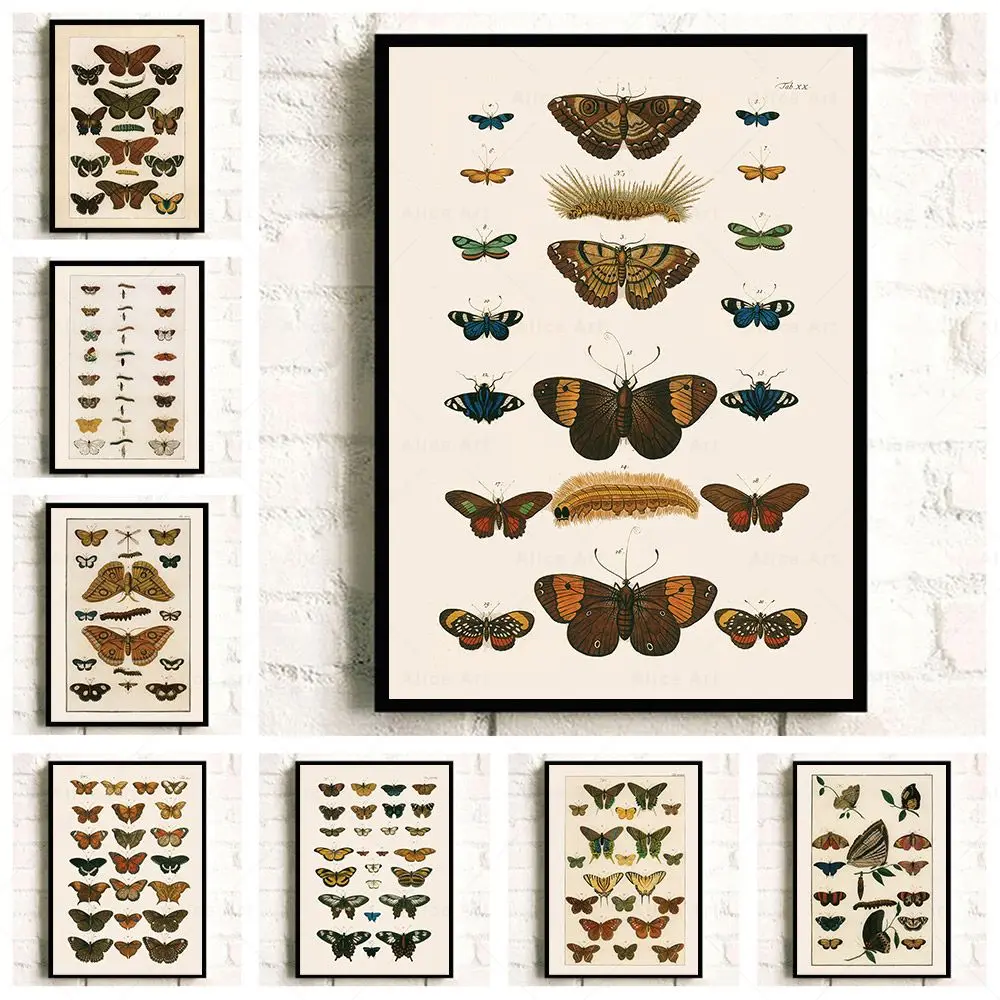 1 pièce - Affiche éducative sur l'évolution du papillon, impression d'art mural vintage sur toile, tableau mural pour chambre d'enfant et maison