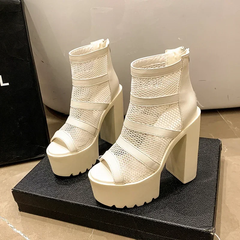 Thick High Heels Gladiator Women Sandals Sexy Open Toe Breathable Mesh Platform Back Zipper Shoes 2024 Summer New Luxury Sandal